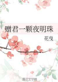 赠君一颗夜明珠 作者 花