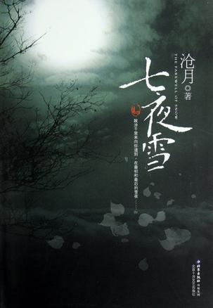 七夜雪电视剧什么时候上映