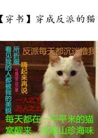 穿成反派的猫txt宝书网